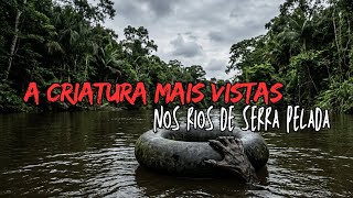 Esse Monstro Quase Levou Meu Irmão !!!