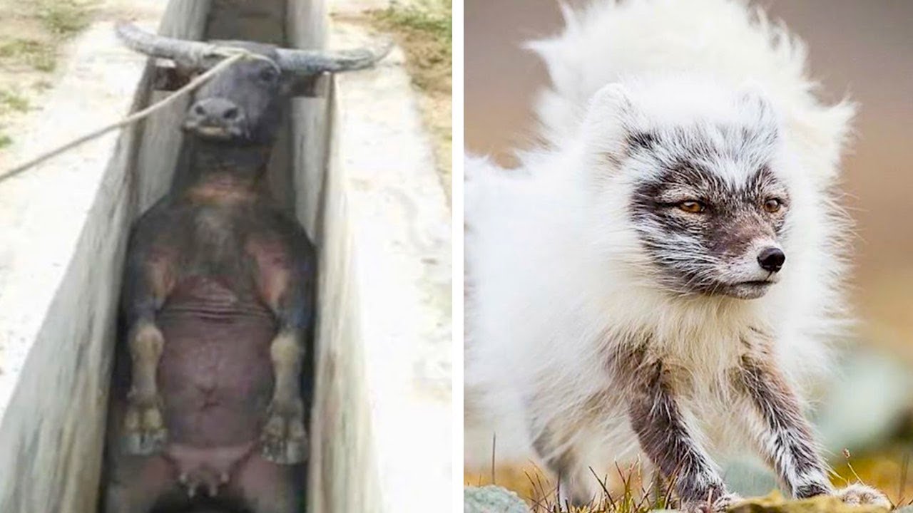 Фотографии, которые выглядят нереально