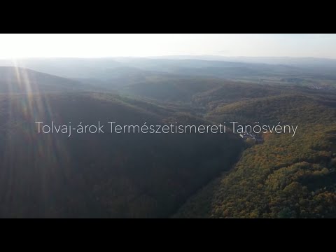 Sétáljunk végig együtt a Tolvaj-árok Természetismereti Tanösvényén!