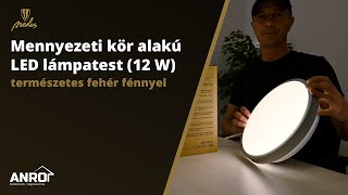 Nedes Mennyezeti kör alakú LED lámpatestek ezüst kerettel