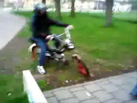 koninginnenacht poortugaal luilaknacht (Zie Beschrijving)