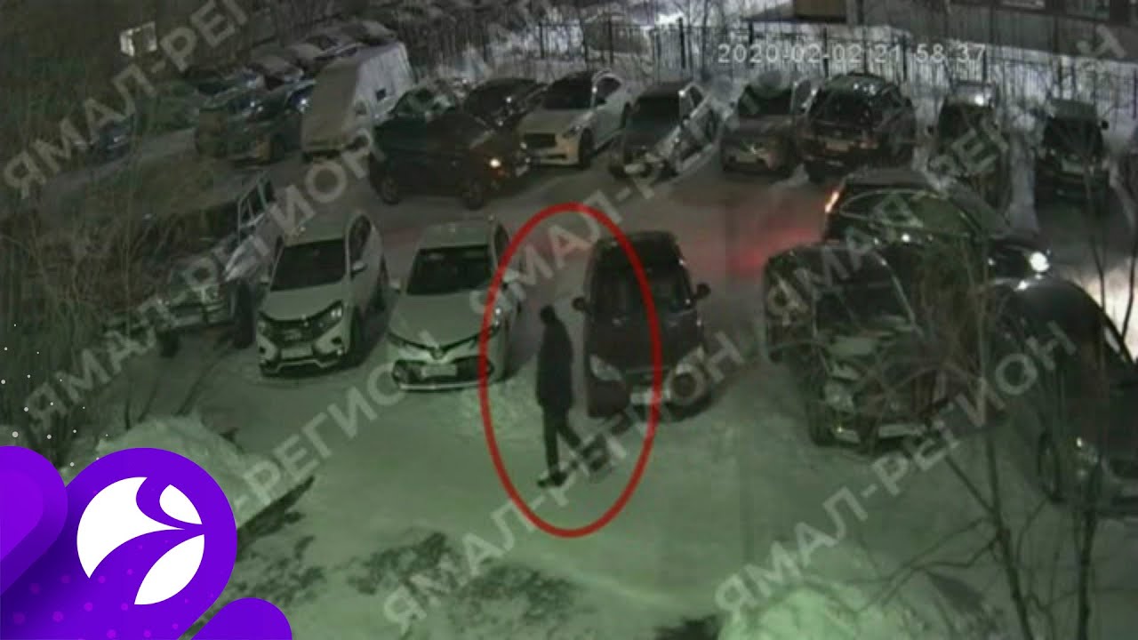 Новости сургута на сегодня. Тц бумеранг новый уренгой. Самарканд новый уренгой. Новый уренгой события. Мираж новый уренгой.