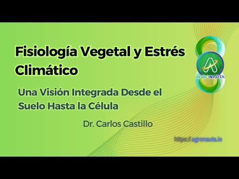 Fisiología Vegetal y Estrés Climático: Una Visión Integrada Desde el Suelo Hasta la Célula