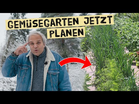 Gartenplanung: 6 Fehler vermeiden, Zeit & Arbeit sparen!