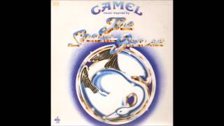 Camel - Preparation