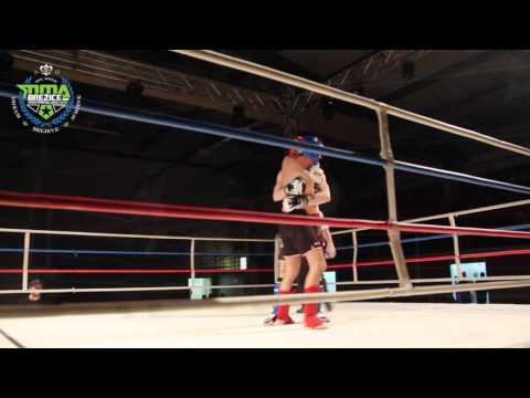 Trebnje Fight Night 2