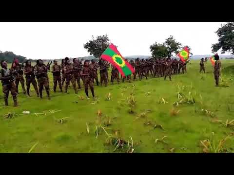 farru Alaba Oromo wbo force ❤️❤️💚💚❤️❤️