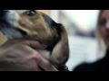 AlisVet Veterinary Software - Sense of touch 