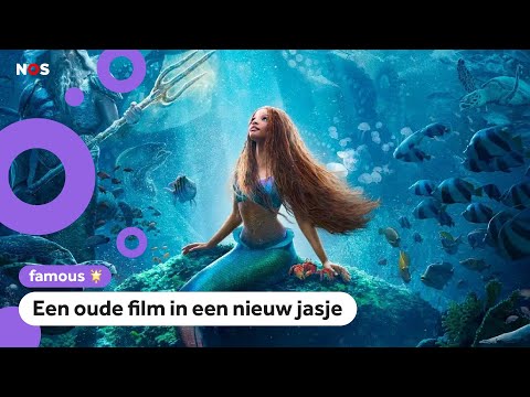 Dit moet je weten over De Kleine Zeemeermin