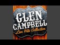 Medley: Wichita Lineman / Galveston / Country Boy (Live)