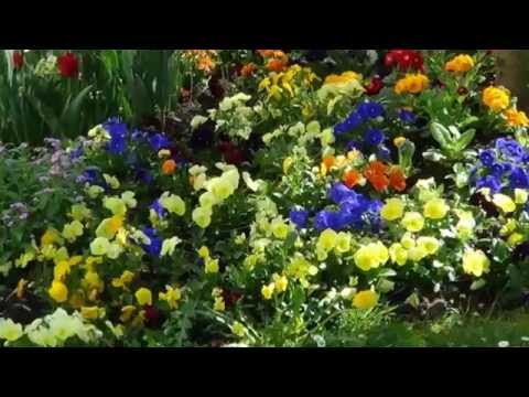 download lagu mp3 mp4 Paysage Printemps, download lagu Paysage Printemps gratis, unduh video klip Paysage Printemps