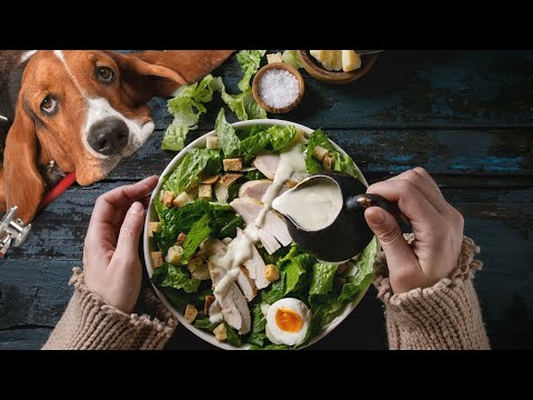 YouTube video about: Can dogs have caesar dressing?