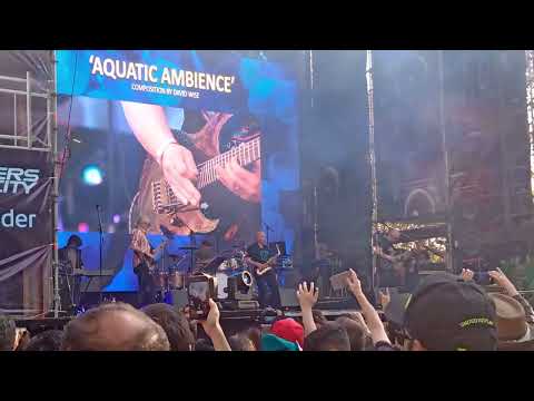 Donkey Kong Country - Aquatic ambience - David Wise. live in Chile 2023