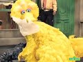 Sesame Street Hurricane