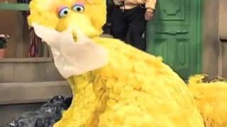Sesame Street  Hurricane