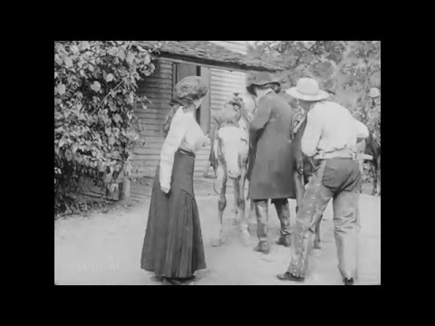 Video $The Mystery of Lonely Gulch