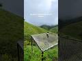 Vagamon Kerala S Hidden Gem Travel