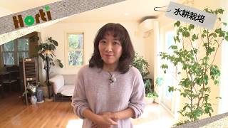 水耕栽培 根 茶色 أشهر موقع لمشاركة مقاطع الفيديو الموسيقية على الإنترنت 水耕栽培 根 茶色 أشهر موقع لمشاركة مقاطع الفيديو الموسيقية على الإنترنت
