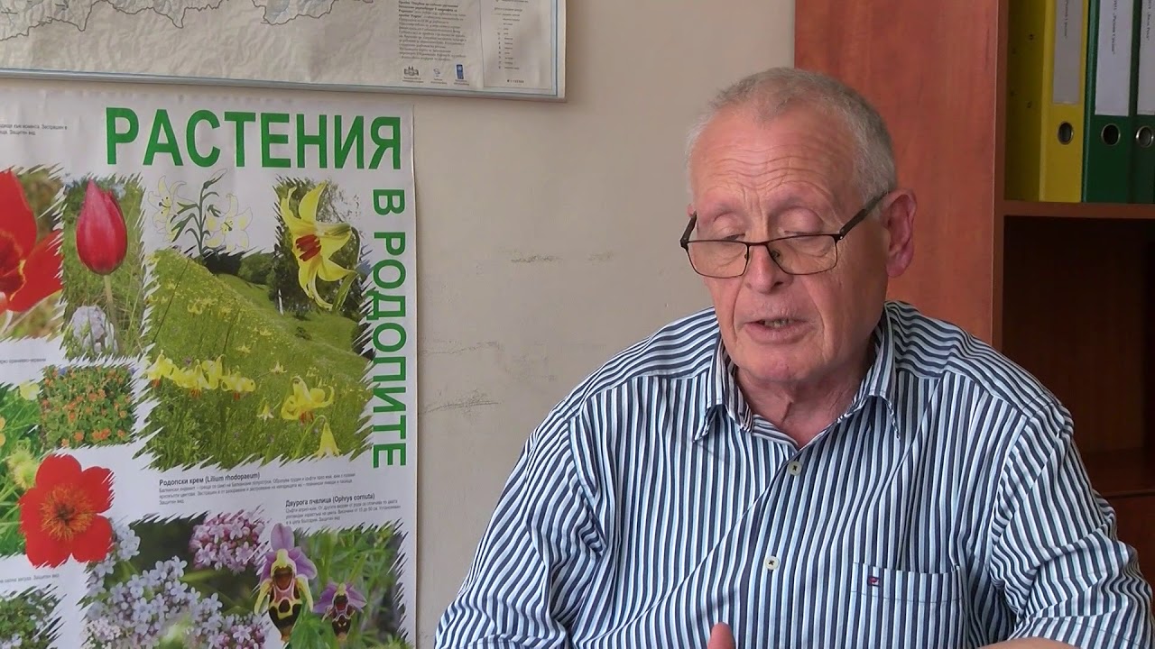 6 камиона, превозващи скрап, са задържани на ГКПП "Капитан Андреево"