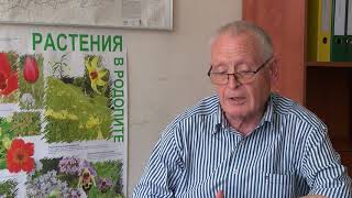 6 камиона, превозващи скрап, са задържани на ГКПП "Капитан Андреево"