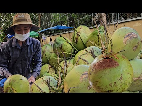 Master SPEED! Fantastic so fresh and sweet coconut cutting skills