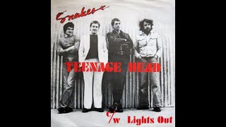 Snakes - Teenage Head (Flamin' Groovies Cover)