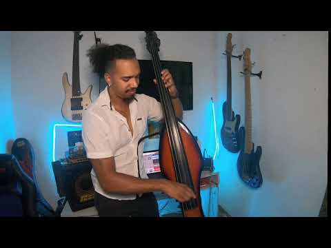 On My Way to Harlem - Gregory Porter bass Cover