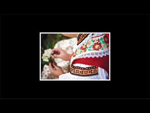 V Babicích na konci(písně hudecké z Bílovic u UH)_Martin Brdečko_2020