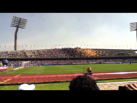 "â™ª Dale dale oh â™« La Rebel de Pumas" Barra: La Rebel &bull; Club: Pumas