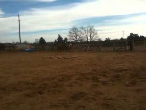 Leaguers Finest Heir2