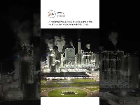 A maior fábrica de celulose do mundo