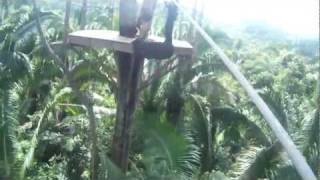 preview picture of video 'Zip line Belize Go Pro 1080p'