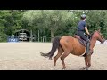 &Agrave; vendre Ponette de 11 ans 