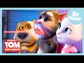 THE AUDITION 🫢 Funniest Episodes Talking Tom Friends Cartoons For Kids WildBrain Max