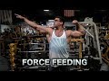 Benching Heavy With Norman | My Take on Bulking, Cutting, and Force Feeding for Growth