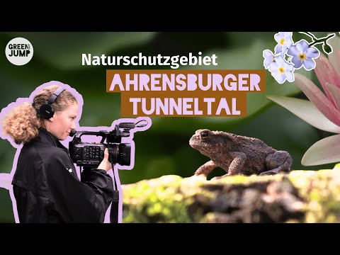 Der Wald des Ahrensburger Tunneltals