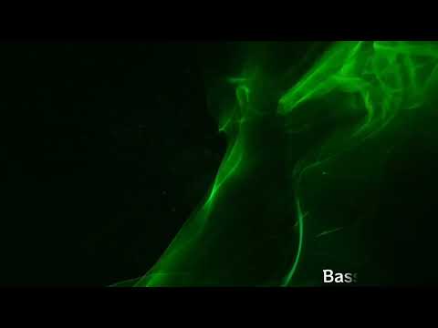 The best of Bounce Drop and Rave Bass Predator Mix