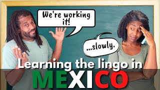 Speaking That 🇲🇽 Lingo: Gringos in Mexico