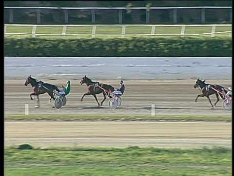 Trotto 09/04/2017 - prova di qualifica