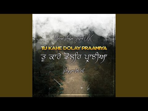 Tu Kahe Dolay Praaniya
