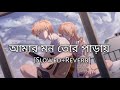 Amar mon tor paray [Slowed+Reverb] - Md. Irfan | Sultan - The Saviour | Bengali Lofi Song