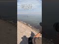 The Moment Vs The Shot Filmmaker Chile Flamingo Travel Naturelovers