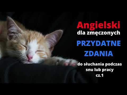 Angielski dla zmęczonych - przydatne zwroty dla początkujących (nauka języka podczas snu i pracy)