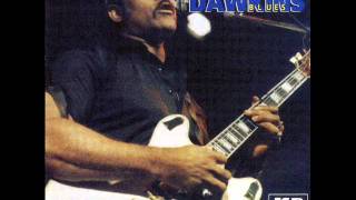 Jimmy Dawkins / Feel The Blues