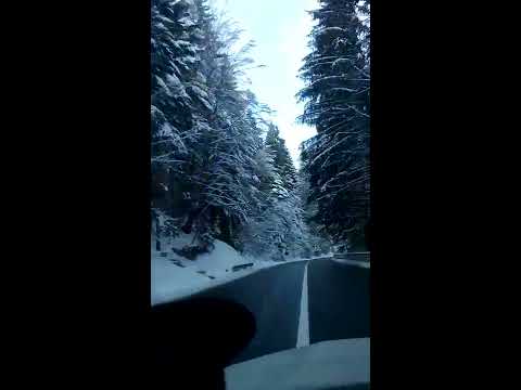 Parcul Natural Putna Vrancea