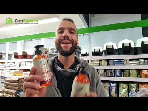 Aceite de salmón para perros | Complemento alimentício