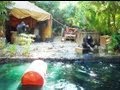 Disneyland Jungle Cruise On Ride HD POV Full Boat Tour Disneyland California