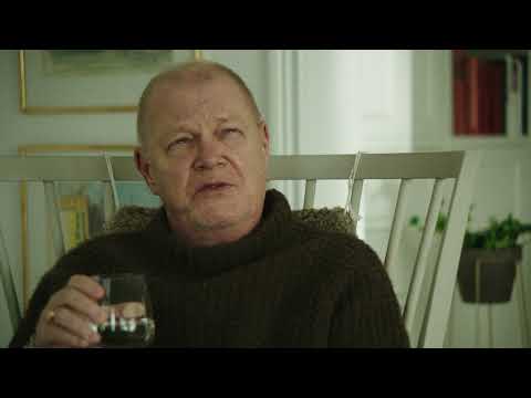 Fiktiv granskning -  Alfons Åberg