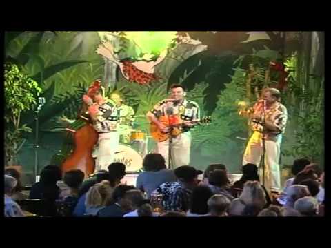 The Speedos - König im Affenstall 1994 - 