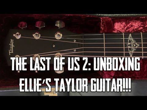 The Last of Us Part II - Taylor Guitar 314ce Unboxing & Live Performance